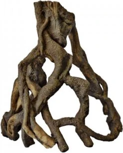 Warentuin Superfish Mangrove Wortel