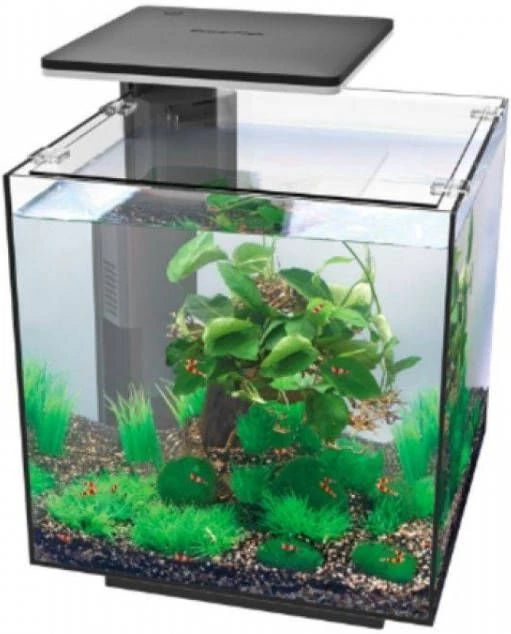 SuperFish Qubiq 60 Pro 40x40x50.8 Cm Aquaria Zwart 2 SuperFish Qubiq 60 Pro 40x40x50.8 Cm Aquaria Zwart - Afbeelding 2