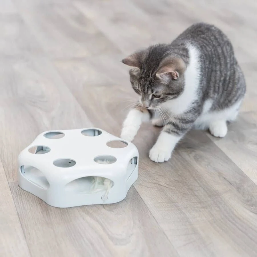 TRIXIE Ø, 22 Cm Kattenspeeltje Turning Feather 3 TRIXIE Ø, 22 Cm Kattenspeeltje Turning Feather - Afbeelding 3