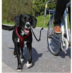 Trixie Fietsbeugel L Vorm En/of Zadelpenbeugel Voor L Beugel Zadelpenbeugel Per Stuk 11 Trixie Fietsbeugel L Vorm En/of Zadelpenbeugel Voor L Beugel Zadelpenbeugel Per Stuk -Dierenwinkel Met Korting trixie fiets set 14823