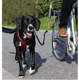 Trixie Fietsbeugel L Vorm En/of Zadelpenbeugel Voor L Beugel Zadelpenbeugel Per Stuk 3 Trixie Fietsbeugel L Vorm En/of Zadelpenbeugel Voor L Beugel Zadelpenbeugel Per Stuk - Afbeelding 3