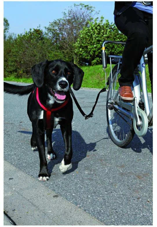 Trixie Fietsbeugel L Vorm En/of Zadelpenbeugel Voor L Beugel Zadelpenbeugel Per Stuk 1 Trixie Fietsbeugel L Vorm En/of Zadelpenbeugel Voor L Beugel Zadelpenbeugel Per Stuk