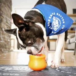 West Paw Hondenspeelgoed Met Zogoflex Toppl S Mandarijnoranje -Dierenwinkel Met Korting west paw hondenspeelgoed met zogoflex toppl s mandarijnoranje 393361